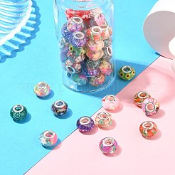 60個 12スタイル 透明樹脂 ヨーロピアン ロンデルビーズ  大穴ビーズ  ポリマークレイとプラチナトーン合金のダブルコアを使用  ミックスカラー  14x8.5mm  穴：5mm  5個/スタイル&nbsp;RPDL-CJ0001-08