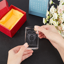 Прозрачные стеклянные украшения дисплея DJEW-WH0010-41