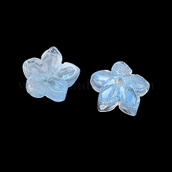 Embouts de perles de verre teints et chauffés&nbsp;X-GLAA-Z019-02L