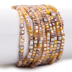 Стеклянные бусины с гальваническим покрытием &nbsp;EGLA-F121-FR-B04