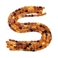 Нити бусин из натурального янтаря градиентного цвета&nbsp;G-F803-D01-04