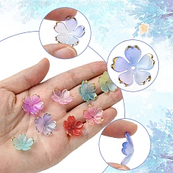 120шт 8 цвета акриловые колпачки для бусин OACR-FS0001-83