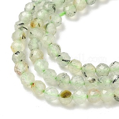 Природные пренит нитей бисера G-S300-12-3mm-01