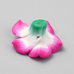 Perles en pâte polymère manuel&nbsp;CLAY-WH20006-01C-06