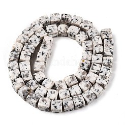 Нити бусин из натуральной белой кунжутной яшмы G-T139-6x6-33A