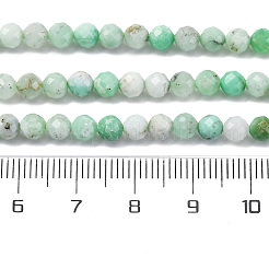 Натуральные хризопразные бисерные пряди G-G195-A02-03