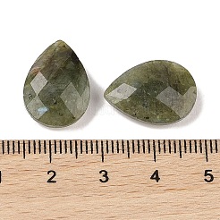 Natur Labradorit Cabochons&nbsp;G-C146-05E