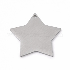 Anlaufgeschützte Anhänger aus Edelstahl 304&nbsp;STAS-F271-04E-P