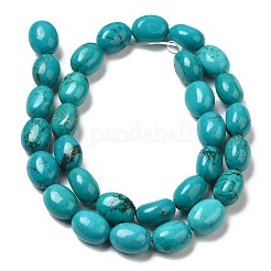 Природные Говлит бисер нитей G-B049-D01-02A