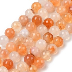 Натуральный красный агат бисер нитей G-A248-A06-03