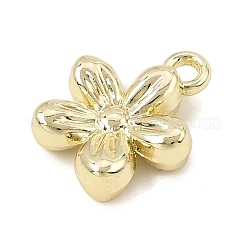 Pendentif en alliage &nbsp;AL-CBAFCDA-03G