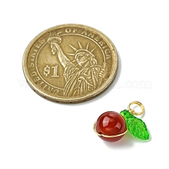 4 шт. 4 стиля подвески в форме яблока из натурального лазурита и сердолика (окрашенного и нагретого) PALLOY-JF03387