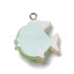 Подвески из непрозрачной смолы&nbsp;RESI-D055-095P