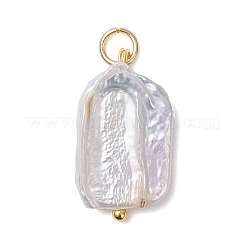 Натуральный жемчуг барокко подвески с жемчугом кеши&nbsp;PALLOY-JF04628-01