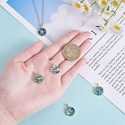 Подвески из натуральной раковины морского ушка/пауа KK-SZ0002-38A