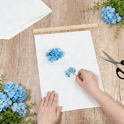 Getrocknetes geprägtes Papier&nbsp;DIY-WH0622-646D