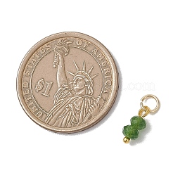 11 шт. подвески-рондель из натурального малайзийского нефрита двух цветов&nbsp;PALLOY-JF04797-01