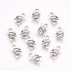 Сплавочные подвески тибетского стиля&nbsp;X-TIBEP-C146-AS-NR