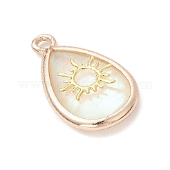 Подвески-капли из натуральных ракушек пауа&nbsp;PALLOY-JF03762-03