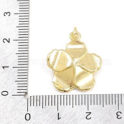 Pendentifs en laiton zircon cubique transparent&nbsp;LS-KK-CBADB87-14A-G