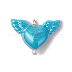 Подвески в виде акрилового сердца и крыльев PALLOY-JF03639