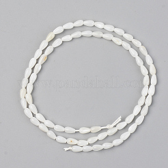 Нити бусин из натуральных пресноводных ракушек X-SSHEL-R048-007A