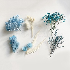 Pacchetto di materiale per fiori secchi&nbsp;DIY-WH0257-04