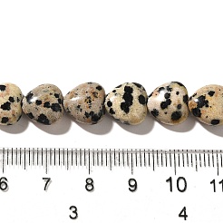 Природные яшмы далматин бисер нитей G-R190-10mm-63