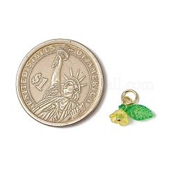 36 шт. матовые акриловые подвески в виде цветов и листьев&nbsp;PALLOY-JF03552