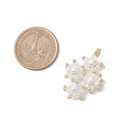 Подвески из имитированного австрийского хрусталя и стеклянных бусин&nbsp;PALLOY-MZ01060-02