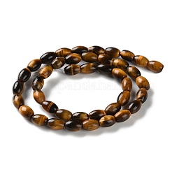 Природных тигровый глаз бисер нитей G-B135-A01-01