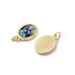 Овальные подвески из эпоксидной смолы и натуральной ракушки пауа KK-K384-20B-G