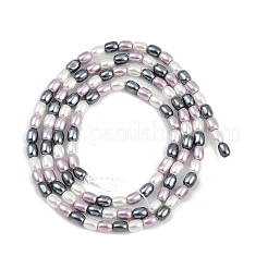 Гальванические оболочки жемчужные бусы пряди BSHE-H113-06A-04