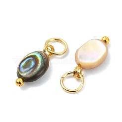 Natur Paua Muschel Anhänger&nbsp;PALLOY-JF05290-01