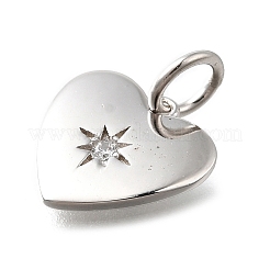 925 стерлингового серебра микро Pave прозрачные кубические циркониевые подвески STER-V001-01P-04