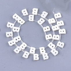 Perles de coquille d'eau douce&nbsp;X-SHEL-T012-59B