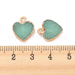 Harz mit goldenen Charms aus Zinklegierung&nbsp;LS-RESI-CJC0009-04D