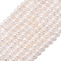 Fili di perle di perle d'acqua dolce coltivate naturali&nbsp;PA-CBABE82-04