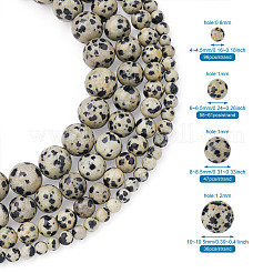 4 нитка 4 стили бусин из натуральной далматинской яшмы G-YS0001-06