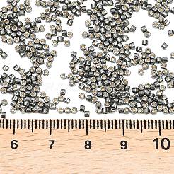 Miyuki Delica Perlen&nbsp;SEED-MY11-DB2512