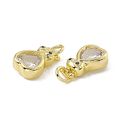 Crémaillère en laiton placage Bijoux de zircone cubique&nbsp;KK-C007-01G-04