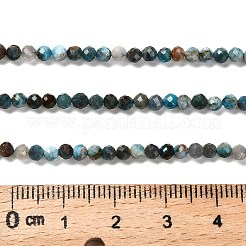 Природного апатита нитей бисера&nbsp;LS-G-RM2025-36-3mm