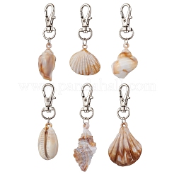 Акриловые имитация ракушек подвесные украшения&nbsp;HJEW-JM02772