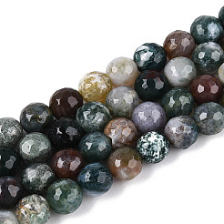 Природного индийского агата бисер нитей G-T139-8mm-88E