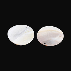 Естественных пресноводных оболочки большие кулоны SHEL-T020-39