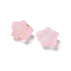 Матовые акриловые подвески&nbsp;OACR-M023-04J