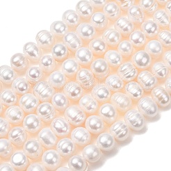 Fili di perle di perle d'acqua dolce coltivate naturali&nbsp;PA-CBABE82-15B
