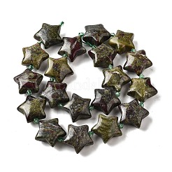 Бисер натуральный дракон крови пряди G-U023-C01-07