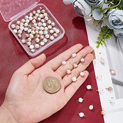 80 шт. PEAR-NB0001-65