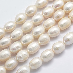 Brins de perles de culture d'eau douce naturelles, ovale, beige, 9~13x8.5~9mm, Trou: 0.8mm, Environ 32 pcs/chapelet, 15 pouce (38 cm)